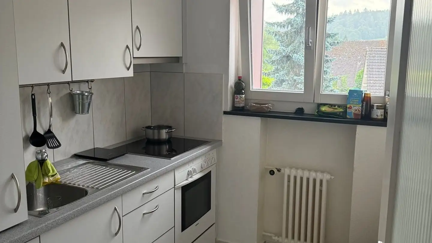 Apartment for rent - Böhlerstrasse 7, 5726 Unterkulm - Photo 3