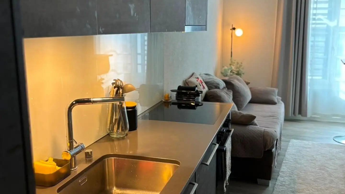 Apartment for rent - 8200 Schaffhausen - Photo 2