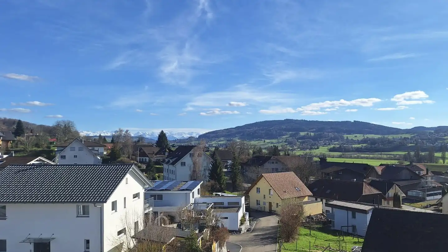 Appartement à vendre - Birrwilerstrasse 63, 5732 Zetzwil - Photo 3