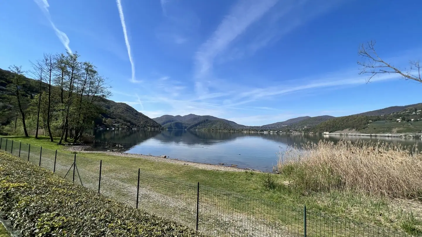 Appartamento in vendita - 6933 Muzzano - Photo 4