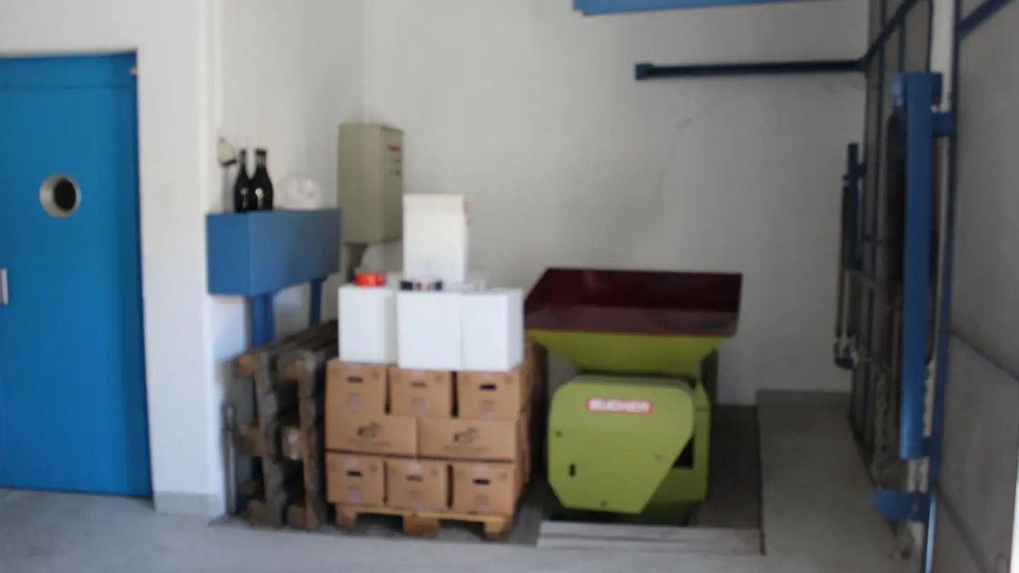 Proprietà industriale in vendita - 3970 Salgesch - Foto 4