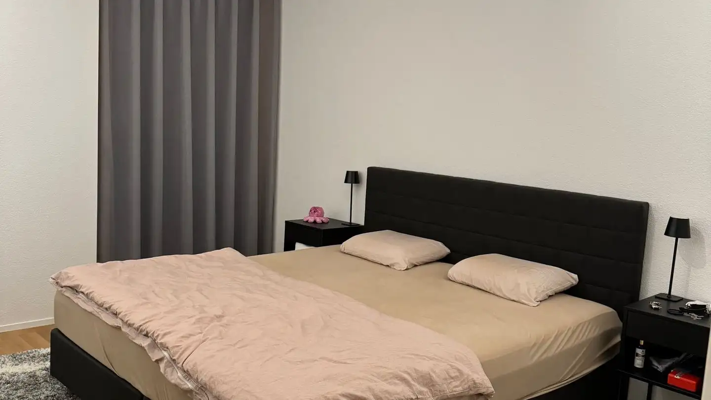 Appartement à louer - Tinguelyweg 1, 3027 Bern - Photo 4