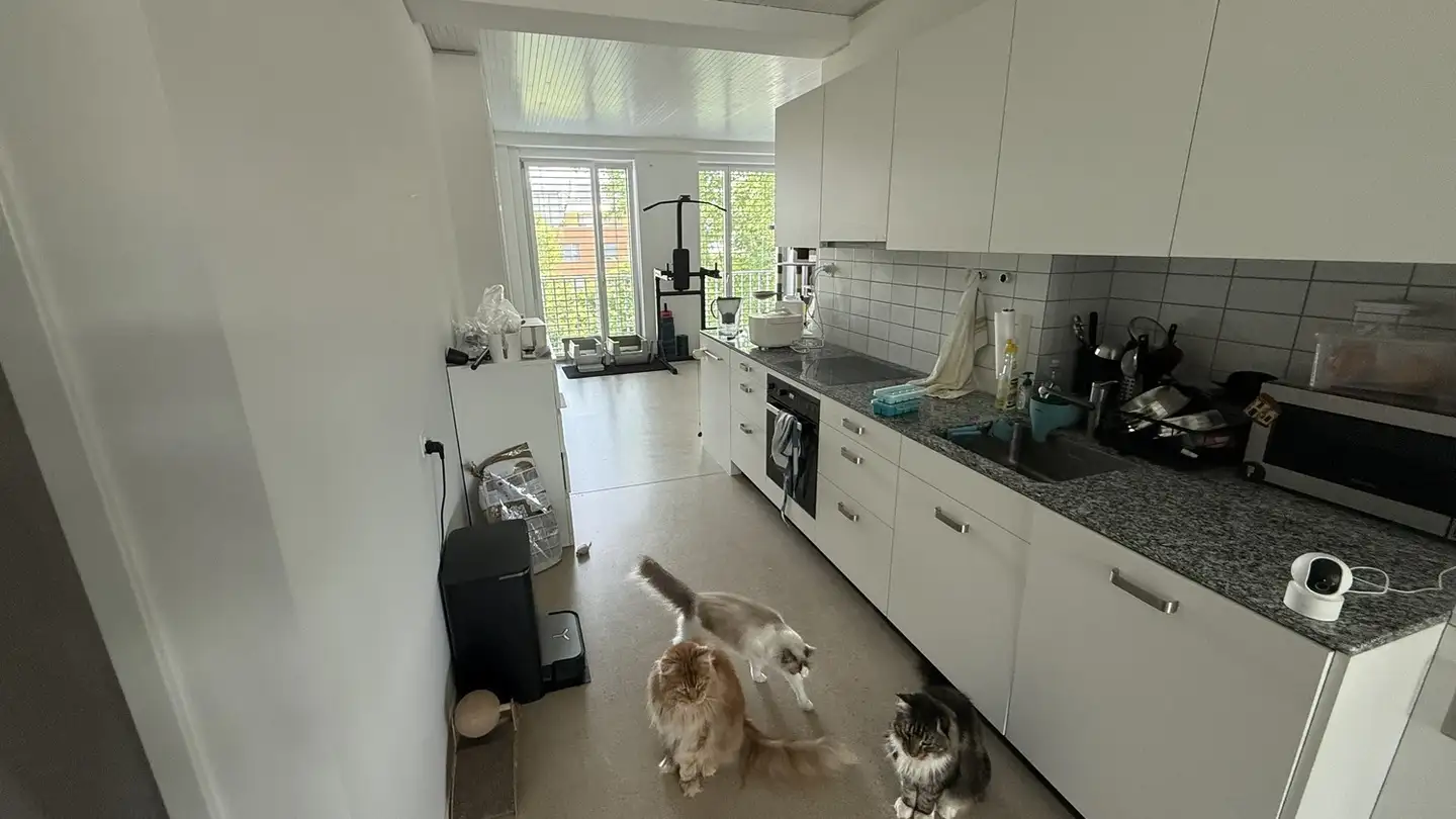 Single room for rent - 8953 Dietikon - Photo 4