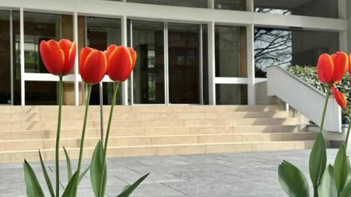 Appartamento in affitto - 1206 Genève - Photo 2