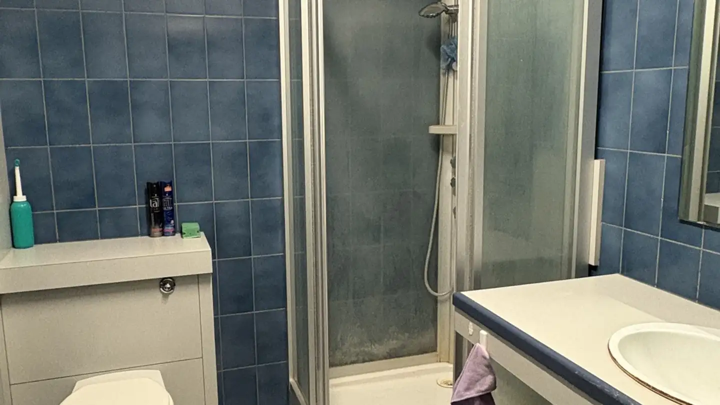 Chambre à louer - Luegislandstrasse 53c, 8051 Zürich - Photo 4