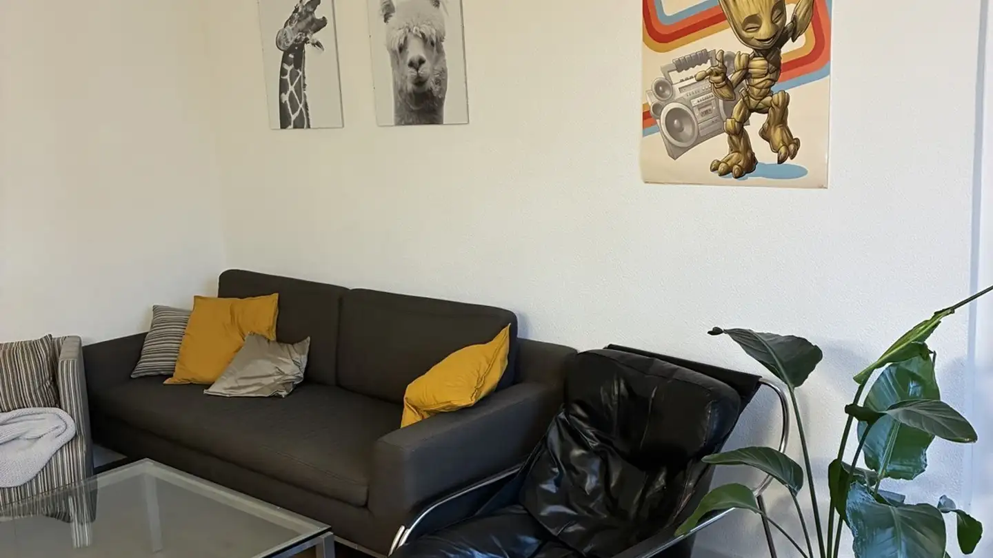 Stanza singola in affitto - Schaffhauserstrasse 456, 8052 Zürich - Foto 4