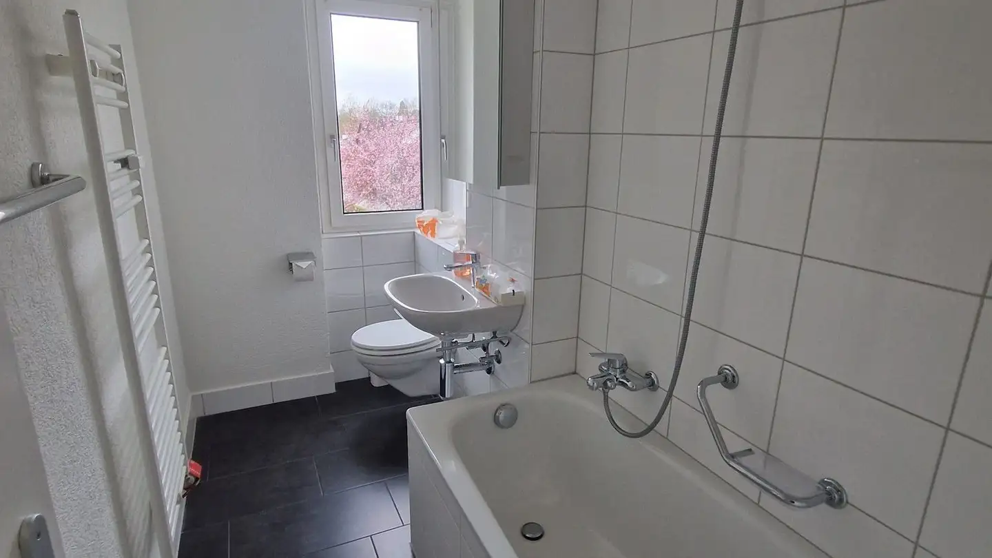 Apartment for rent - Kreuzmattweg 4a, 4450 Sissach - Photo 4