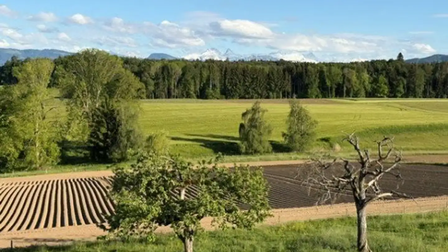 Wohnung mieten - Chemin De La Forge 5a, 1756 Onnens FR