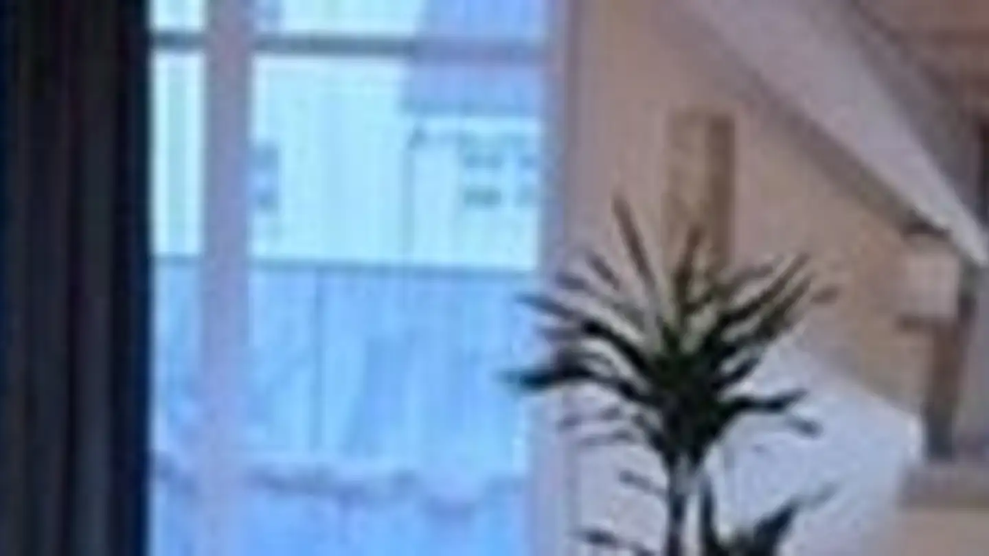 Duplex in affitto - Hardstrasse 18a, 9548 Matzingen