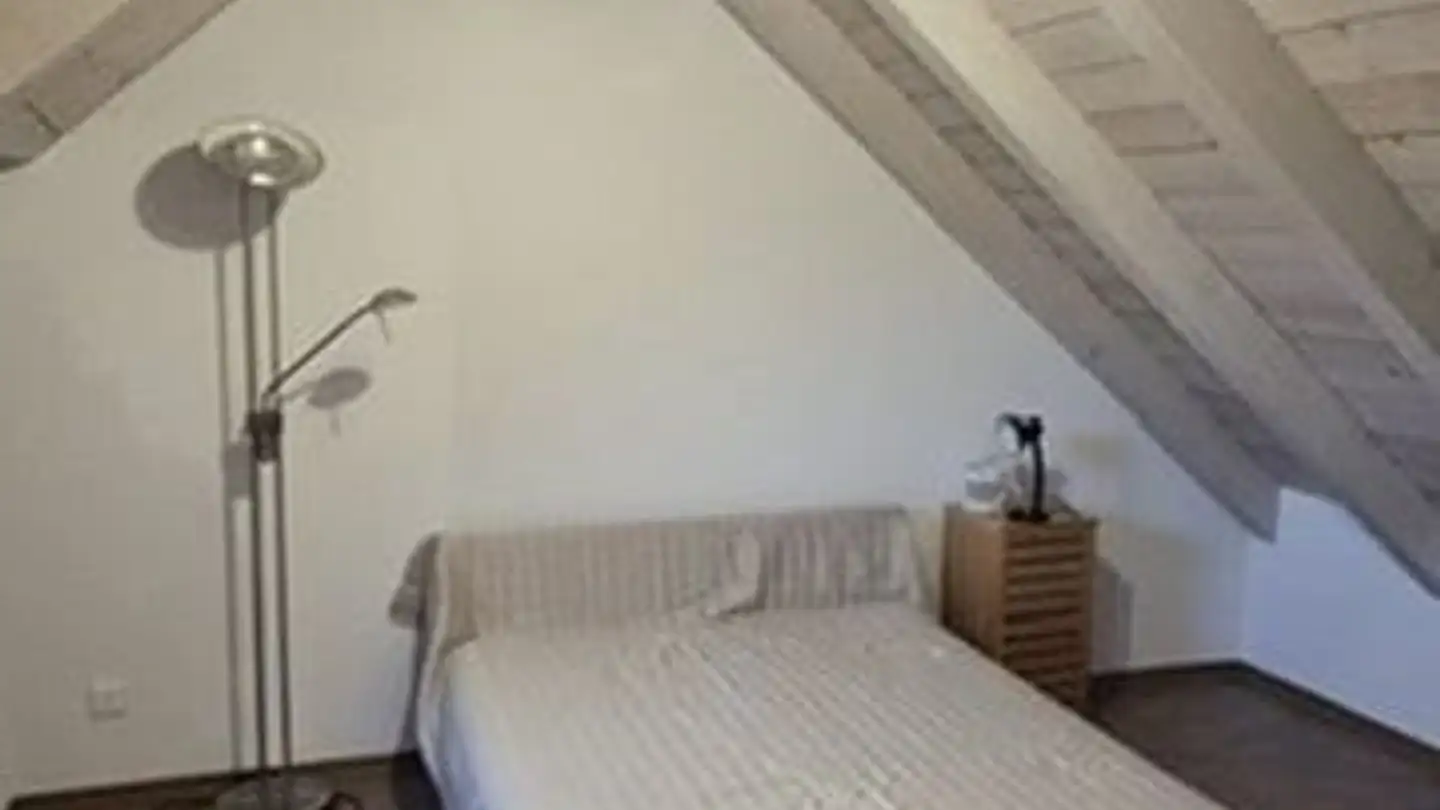 Duplex in affitto - Hardstrasse 18a, 9548 Matzingen - Foto 2