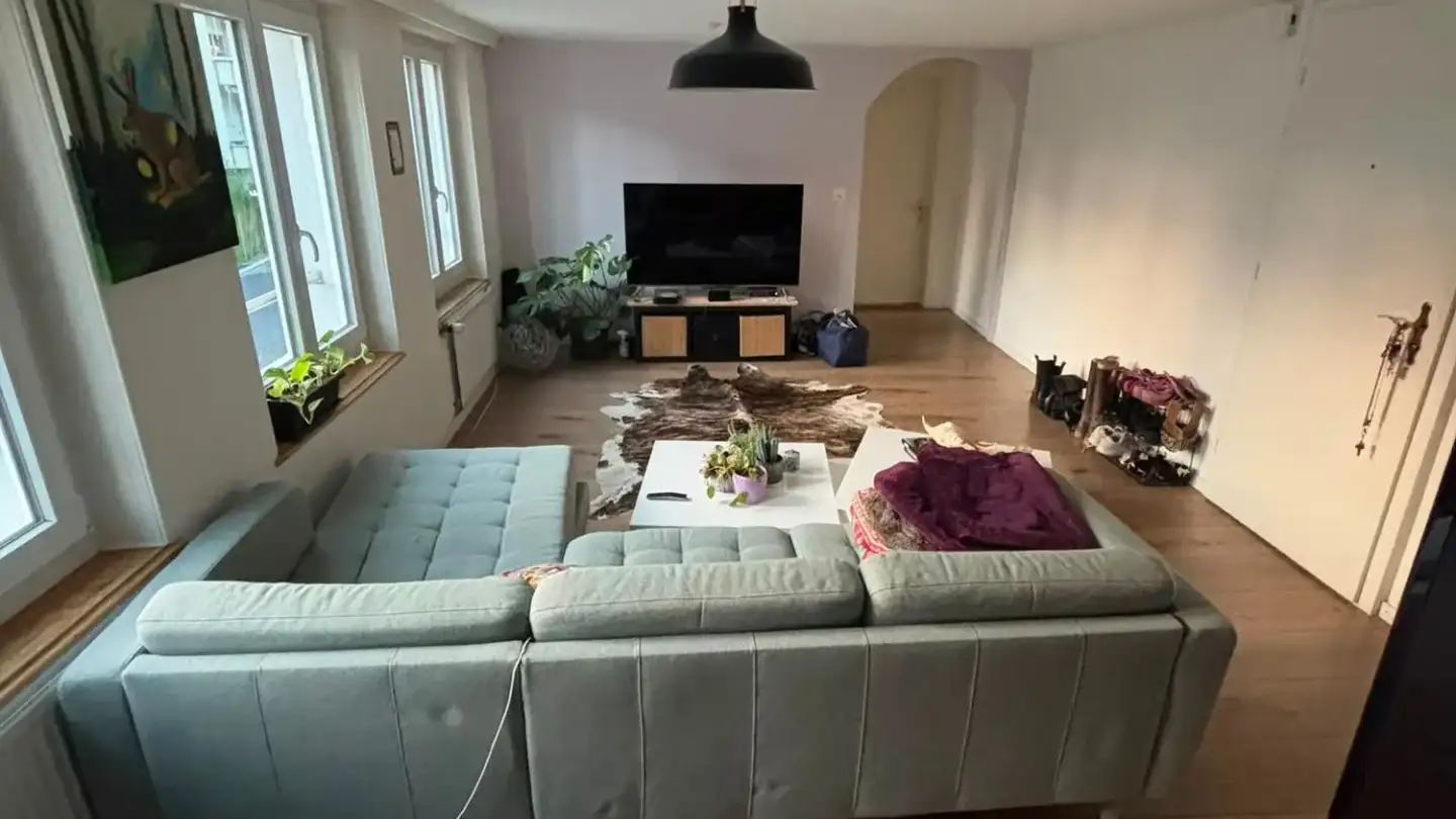 Apartment for rent - Wieslergasse 24, 8049 Zürich - Photo 2