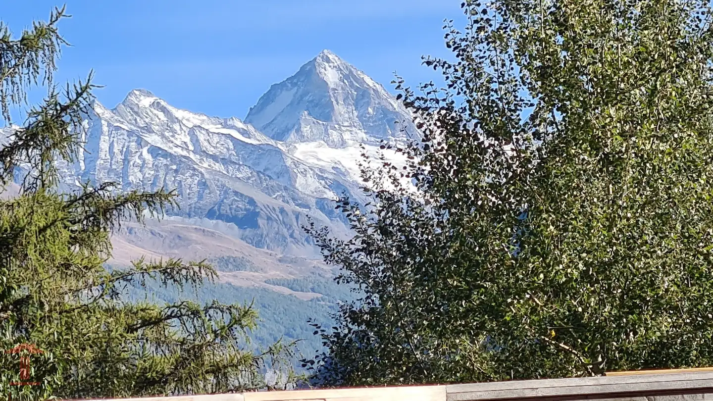 Chalet in vendita - 1987 Hérémence - Photo 4