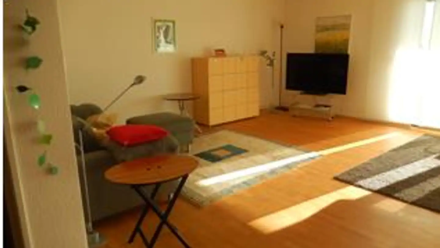 Wohnung mieten - Mühleweiher 14, 8606 Greifensee - Foto 2