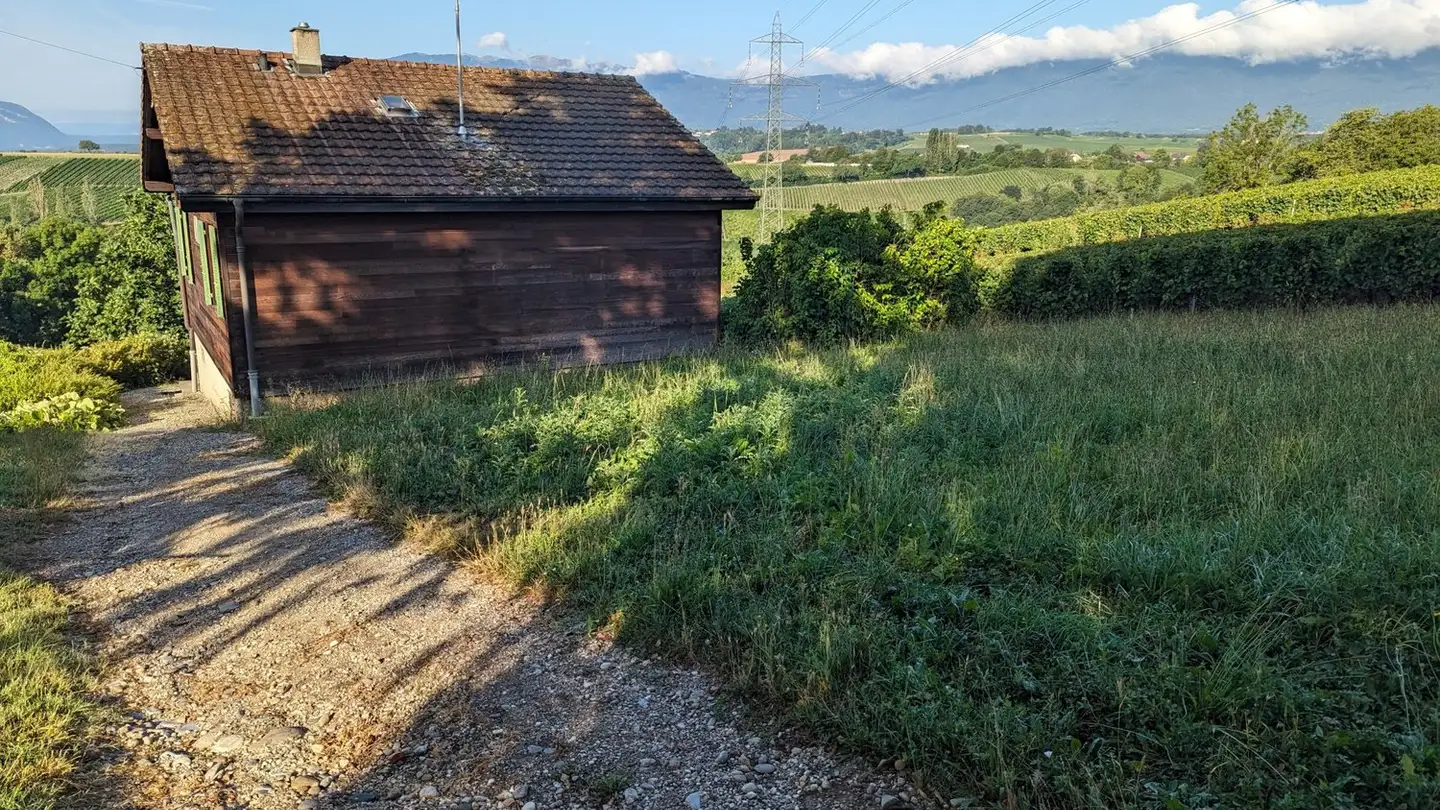 Maison individuelle à louer - Route Des Molards 27, 1281 Russin