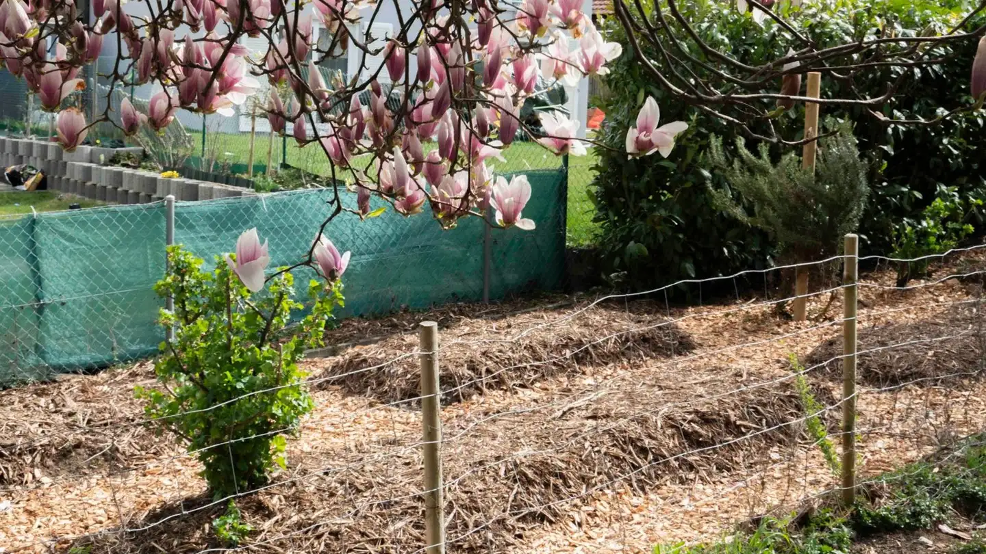 Single house for sale - 1373 Chavornay - Photo 2