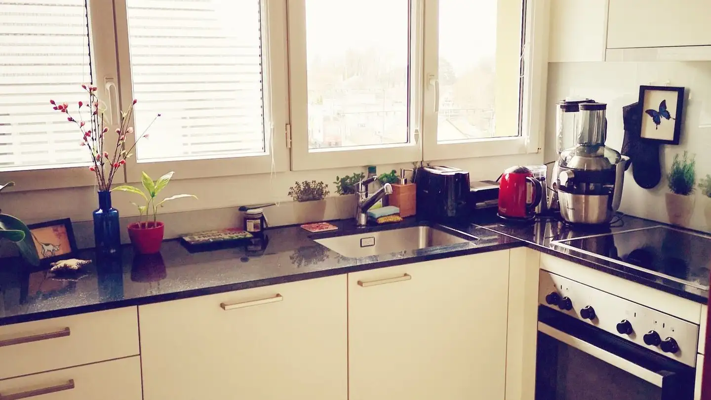 Appartamento in affitto - Zollerstrasse 16, 8703 Erlenbach ZH - Foto 4