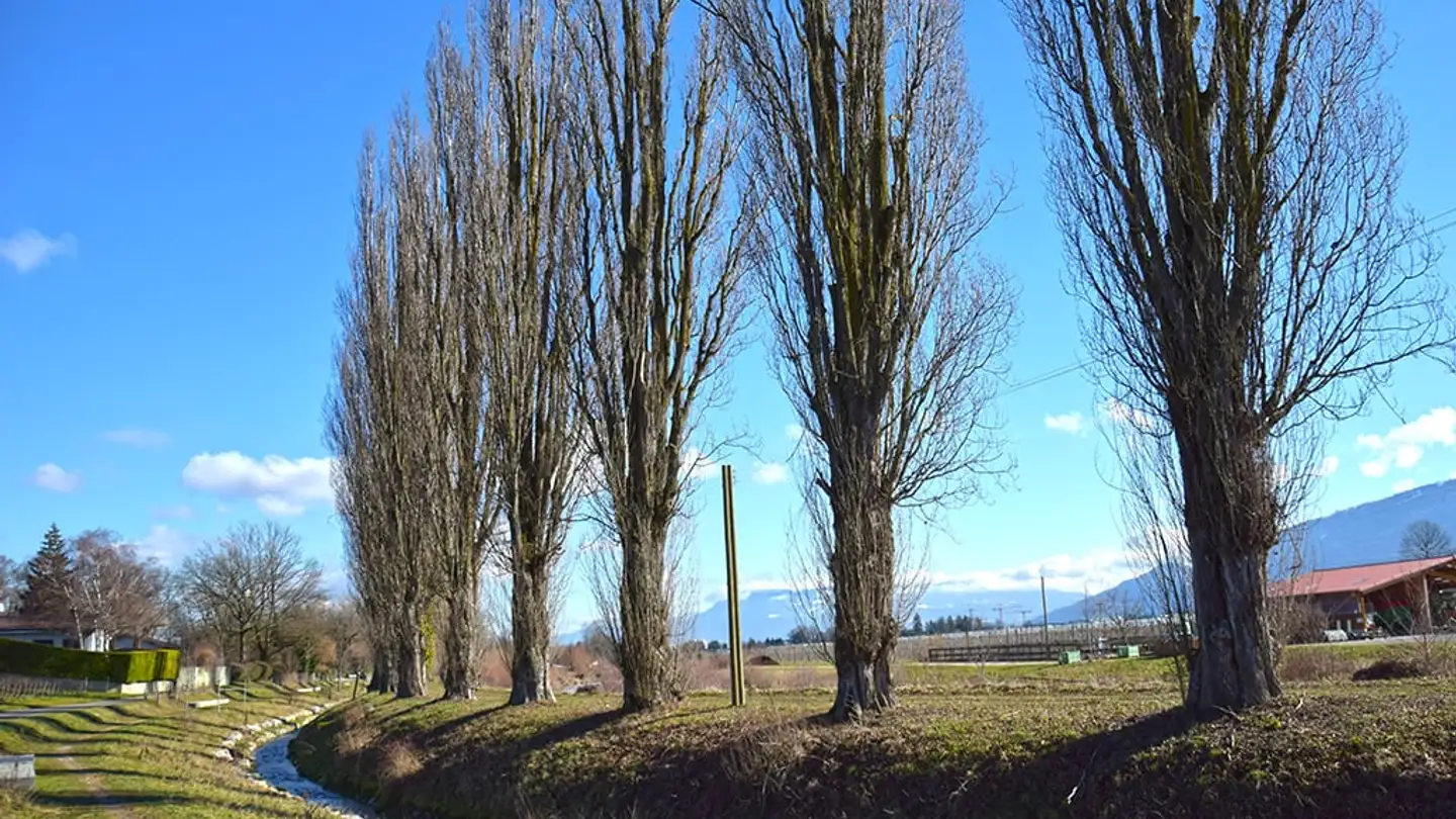 Villa kaufen - 1233 Bernex - Foto 3