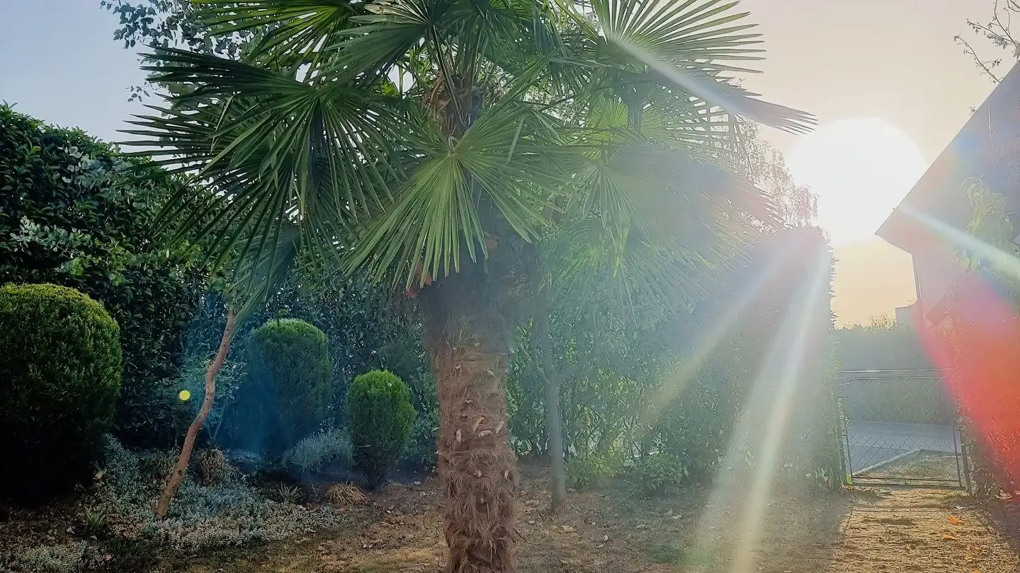 Appartamento in affitto - Route Du Boiron 69, 1260 Nyon - Photo 3