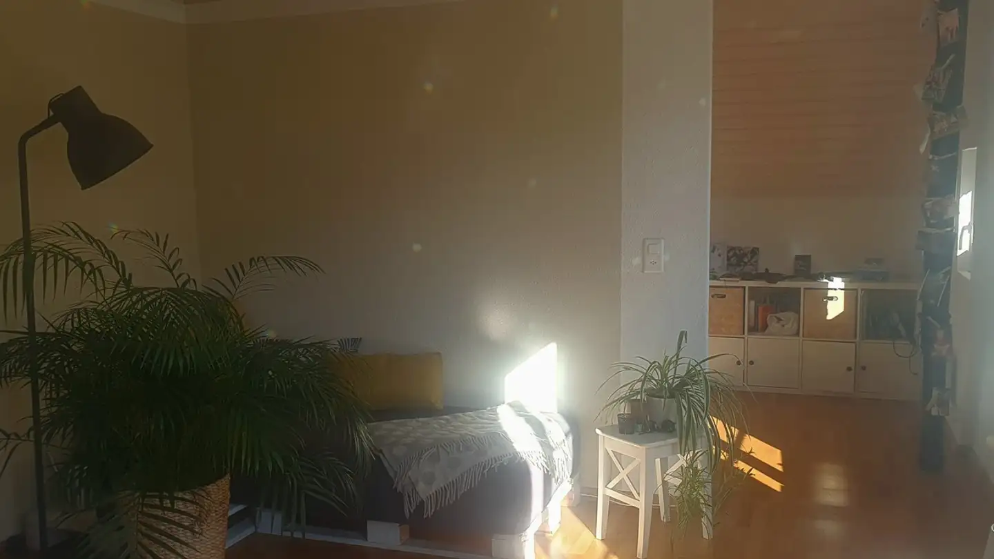 Stanza singola in affitto - 3652 Hilterfingen - Photo 3