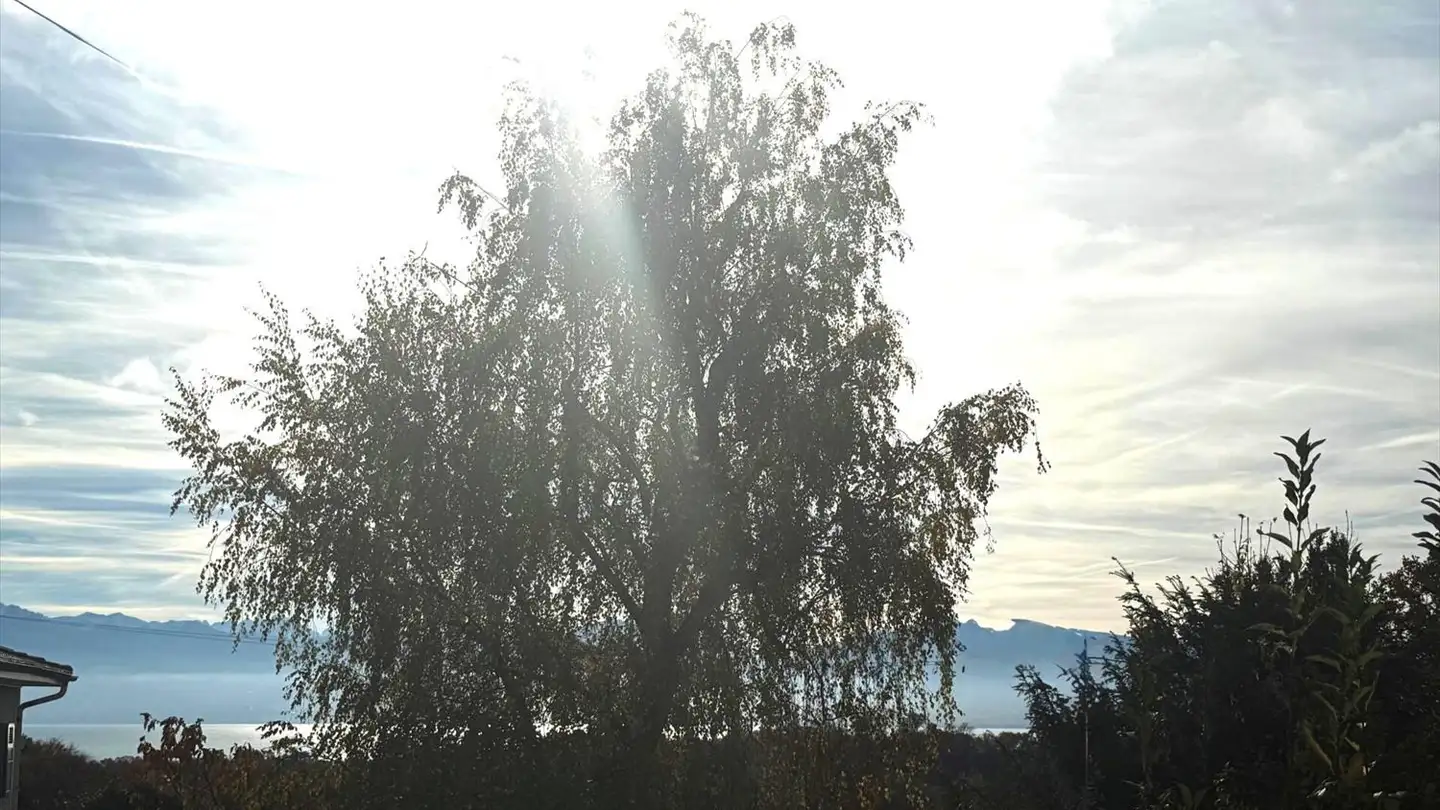 Casa singola in vendita - 1110 Morges - Photo 2