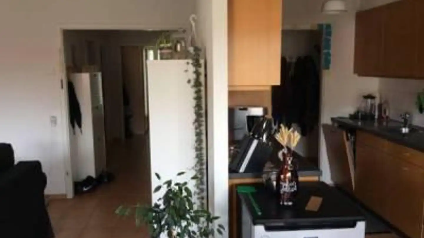 Appartamento in affitto - Chemin Des Persières 12, 1268 Begnins