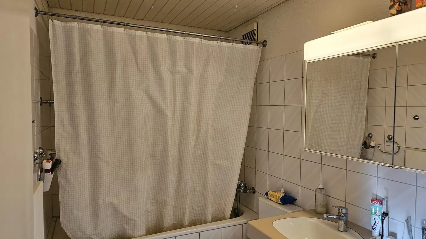 Apartment for rent - Am Kreuzbach 28, 4612 Wangen b. Olten - Photo 4