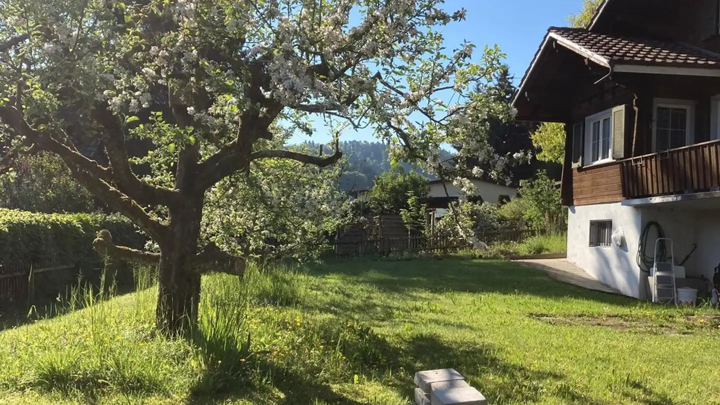 Single room for rent - 4813 Uerkheim - Photo 2