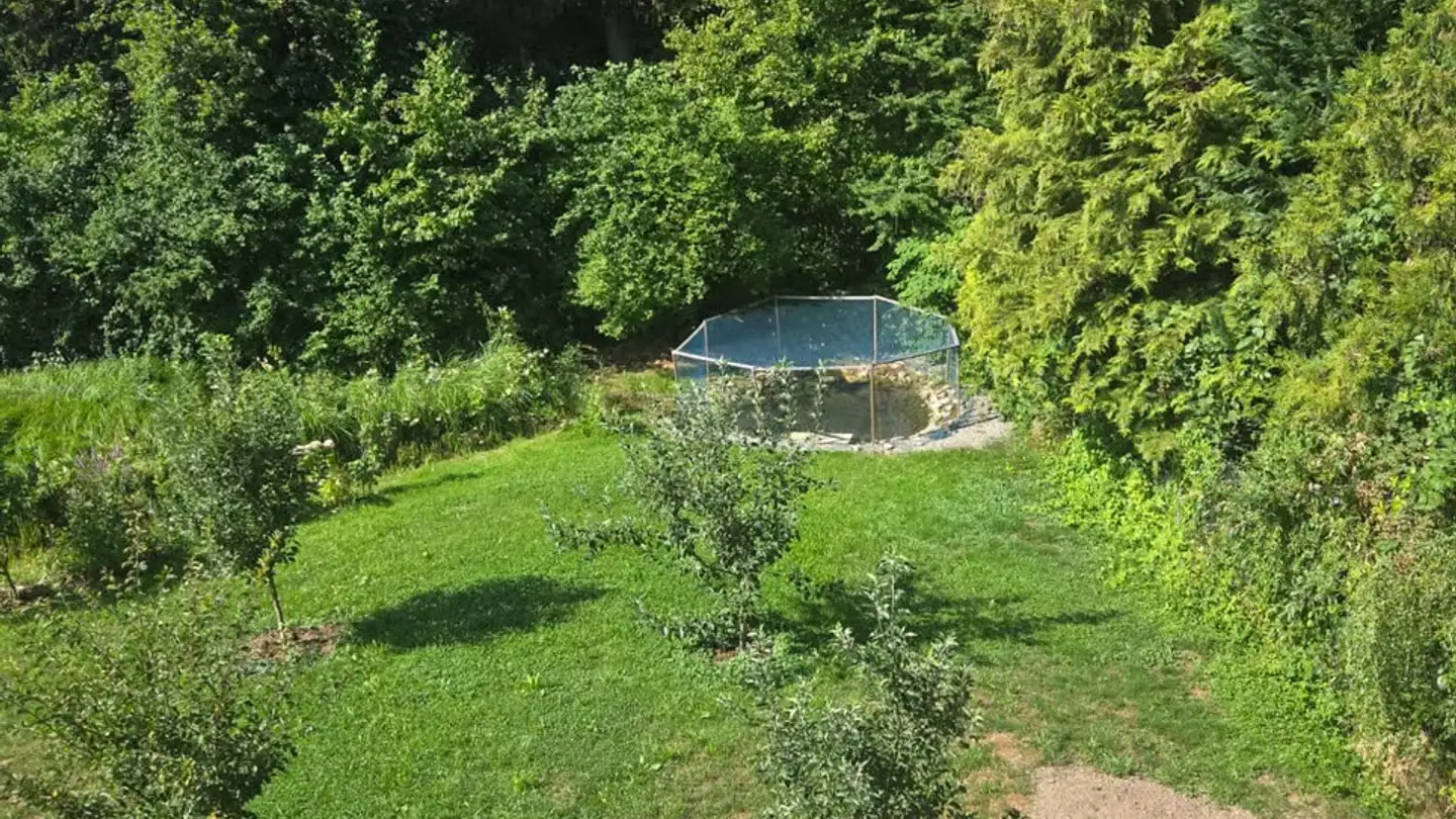 Wohnung mieten - Grubenweg 2, 3186 Düdingen - Foto 2