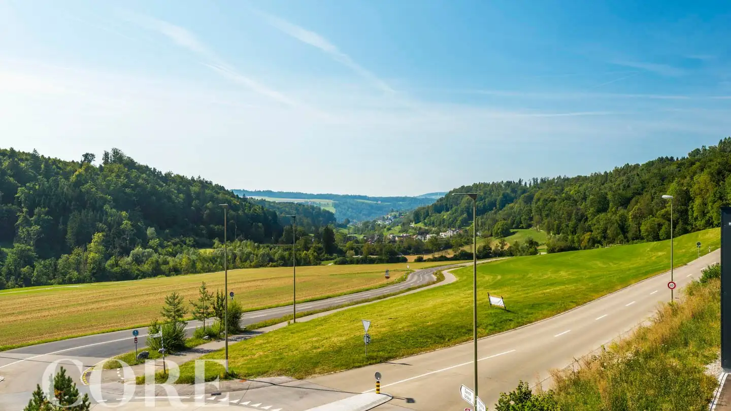 Gewerbe mieten - Luegisland 11, 8143 Stallikon