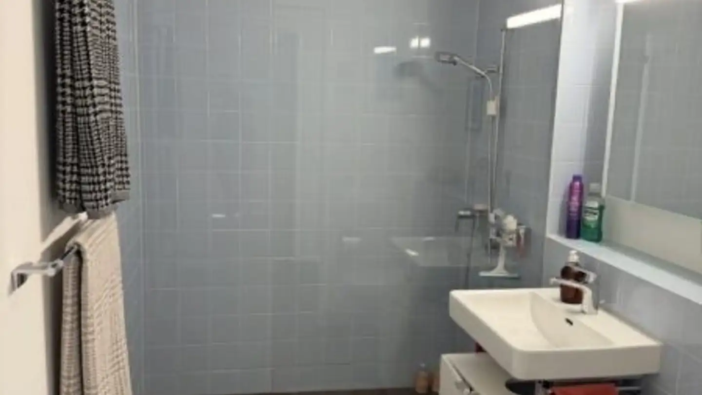 Appartement à louer - In Böden, 8046 Zürich - Photo 2