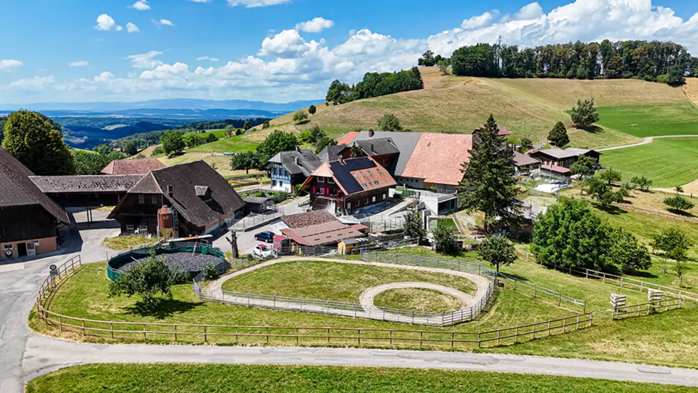 Einfamilienhaus kaufen - Ferrenberg 247b, 3474 Rüedisbach