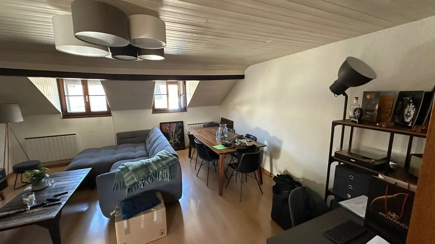 Appartamento in affitto - Rue Ancienne, 1227 Carouge GE - Foto 2