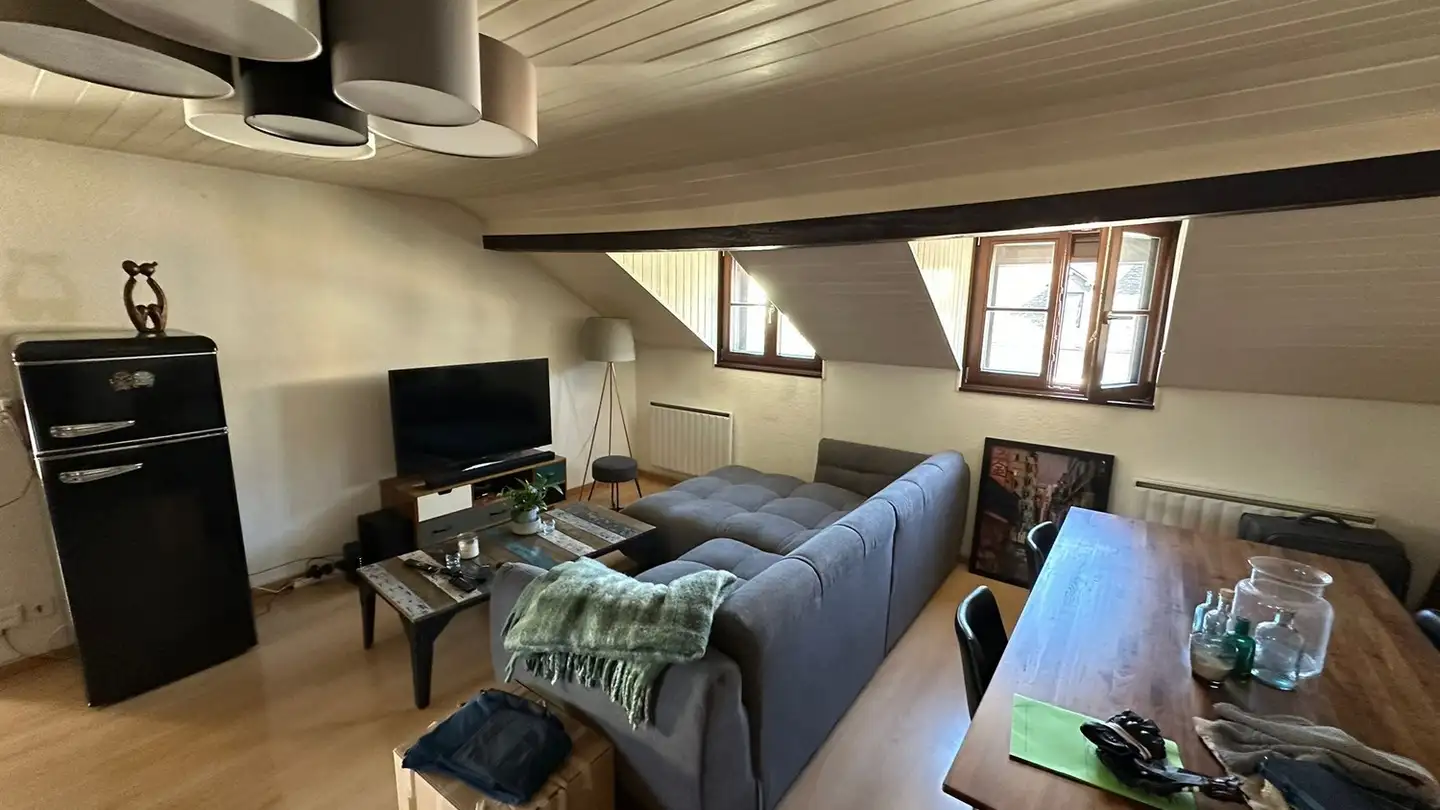 Appartamento in affitto - Rue Ancienne, 1227 Carouge GE - Foto 3