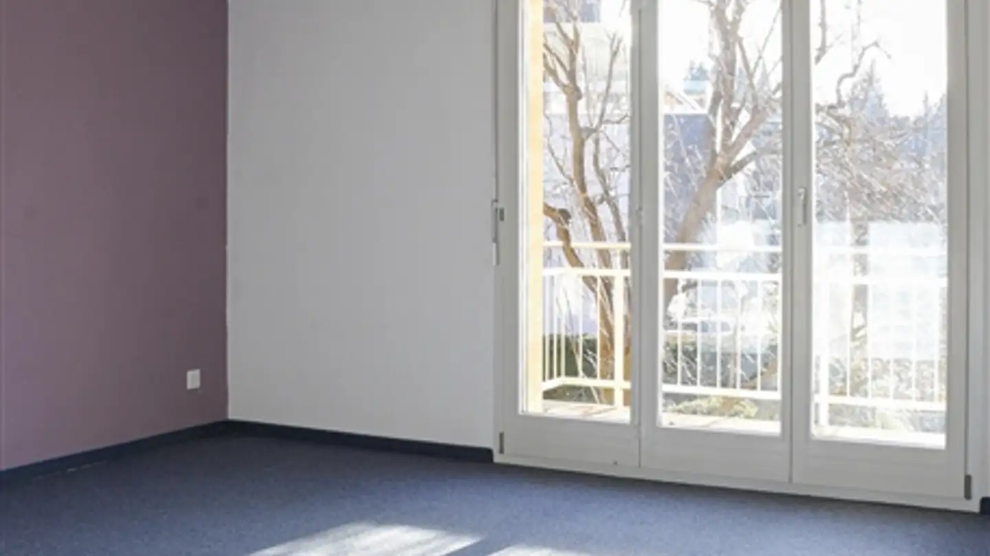 Maison en terrasse à vendre - Wuhrstrasse 3b, 9247 Henau - Photo 3