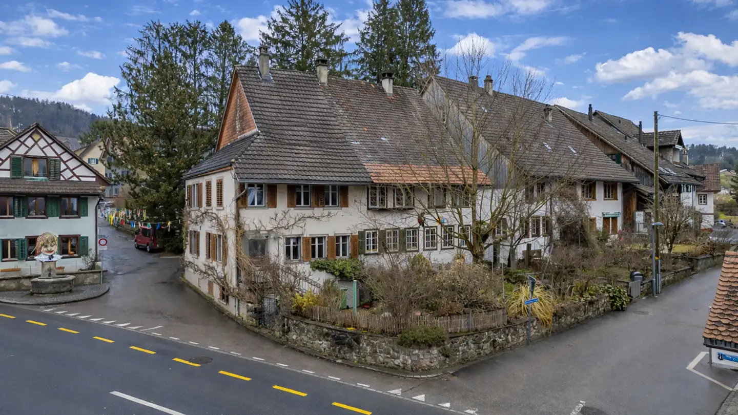 Single house for sale - Albisstrasse 44, 8932 Mettmenstetten