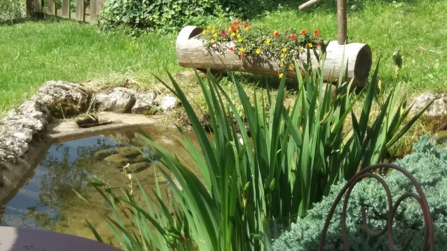 Casa singola in affitto - 1431 Vugelles-La Mothe - Photo 4