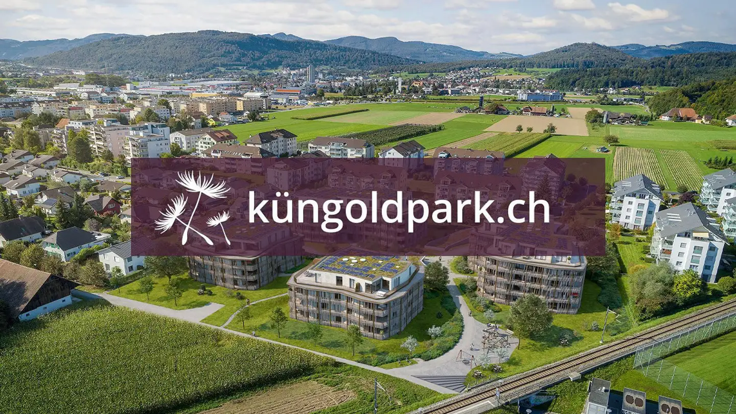 Attique à louer - Jungfraustrasse 2, 4665 Oftringen