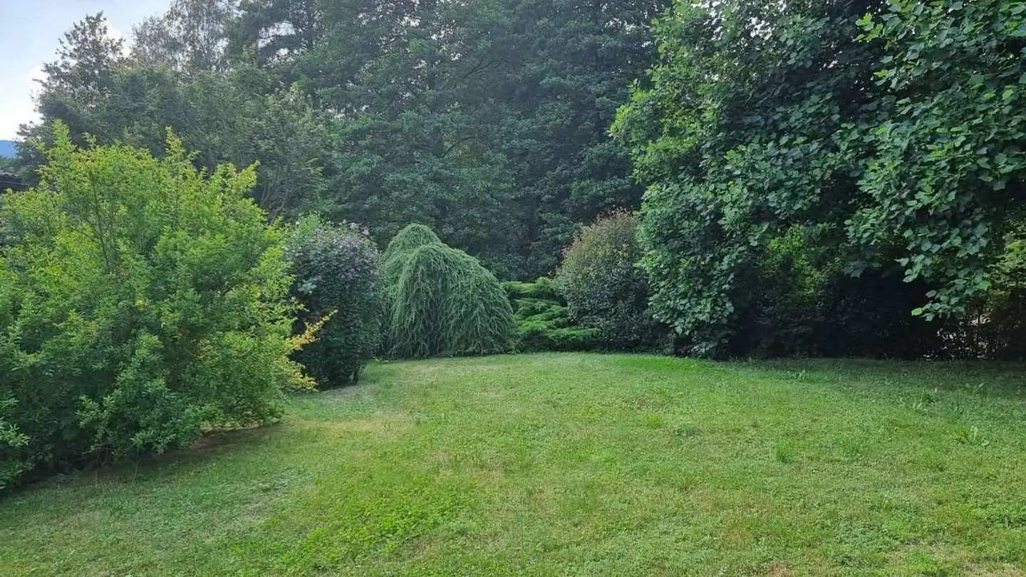 Einfamilienhaus kaufen - Via Mezzana, 6945 Origlio - Foto 3