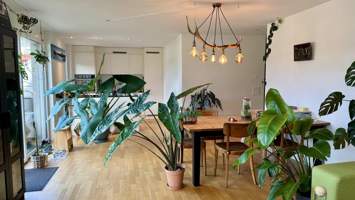 Wohnung mieten - Baumgartenstrasse 3, 8880 Walenstadt - Foto 4