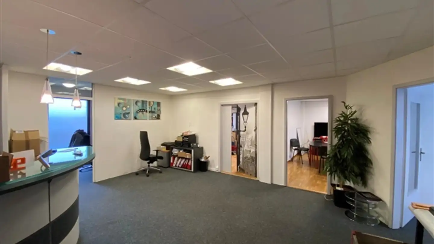 Workshop for rent - Chemin De La Gravière 9, 1225 Chêne-Bourg - Photo 2