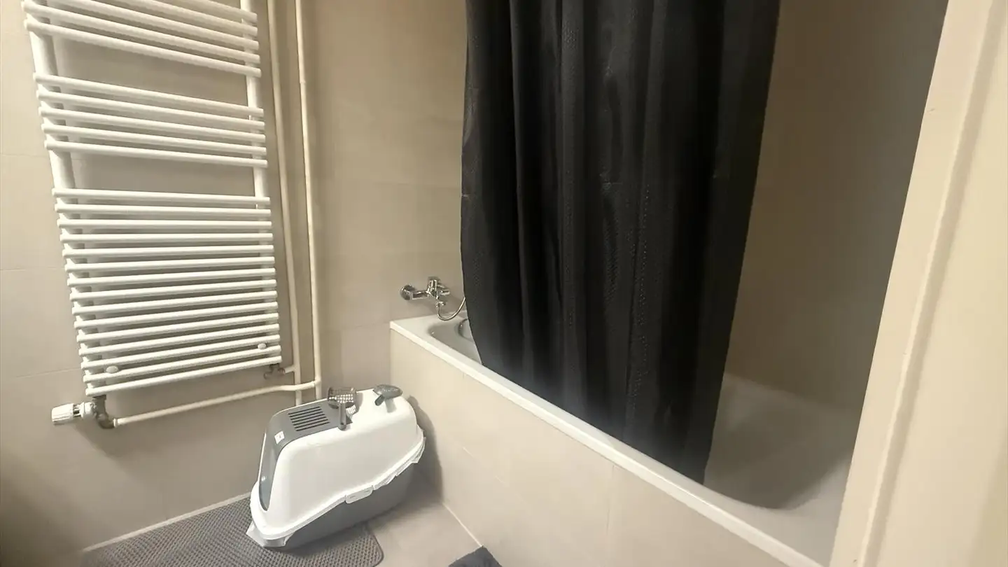 Apartment for rent - Rue Michel-Roset, 1201 Genève - Photo 4