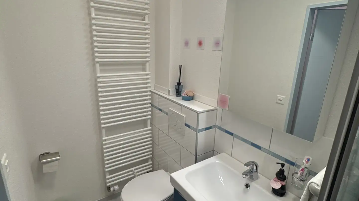 Chambre à louer - Tösstalstrasse 91, 8400 Winterthur - Photo 3