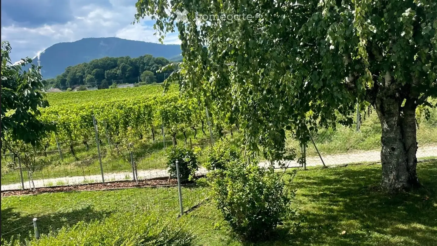 Stanza singola in affitto - 2013 Colombier NE - Foto 2