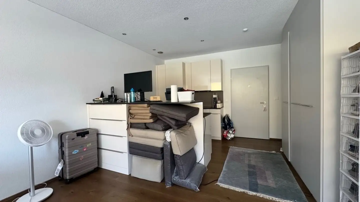 Apartment for rent - Moosstrasse 47, 8134 Adliswil - Photo 2