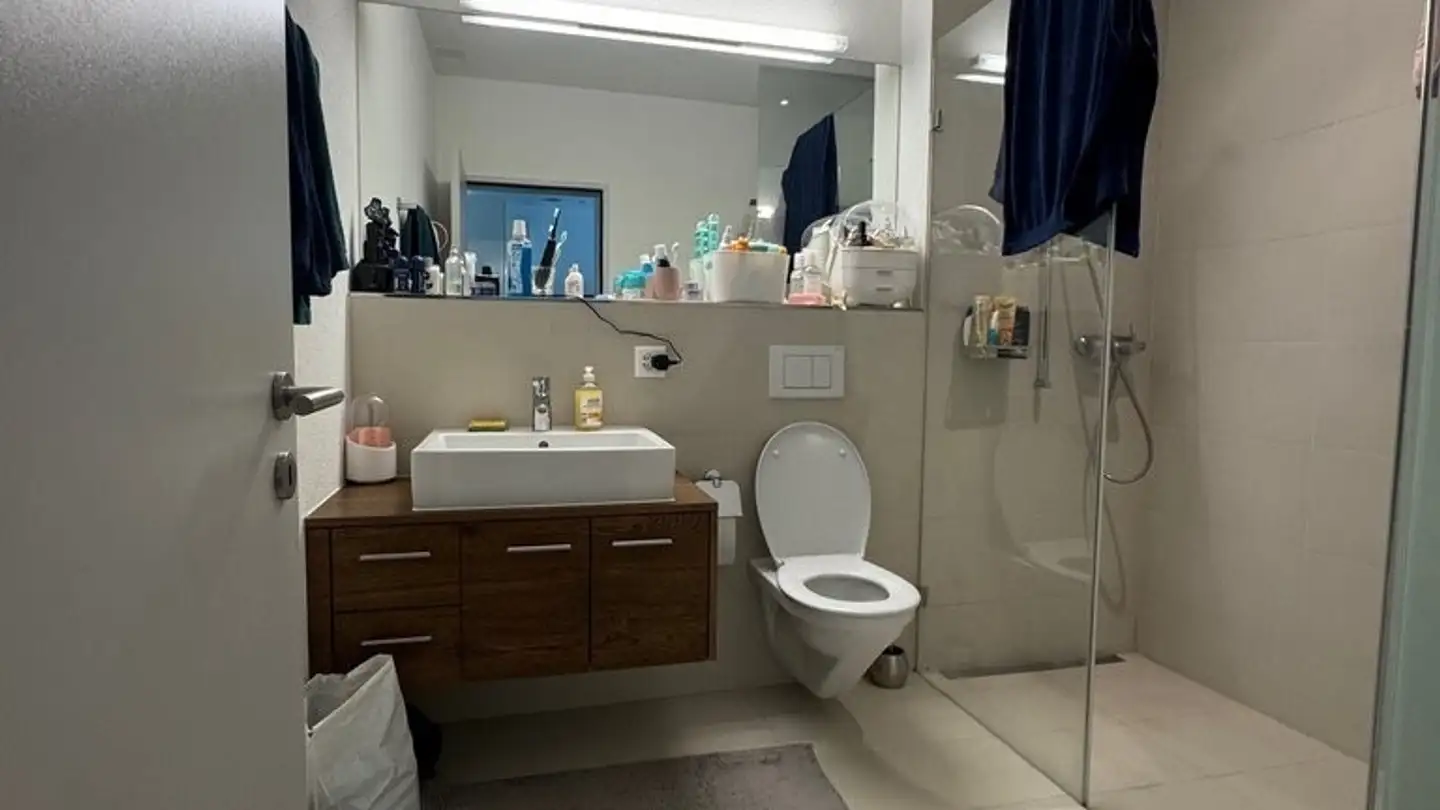 Apartment for rent - Moosstrasse 47, 8134 Adliswil - Photo 4