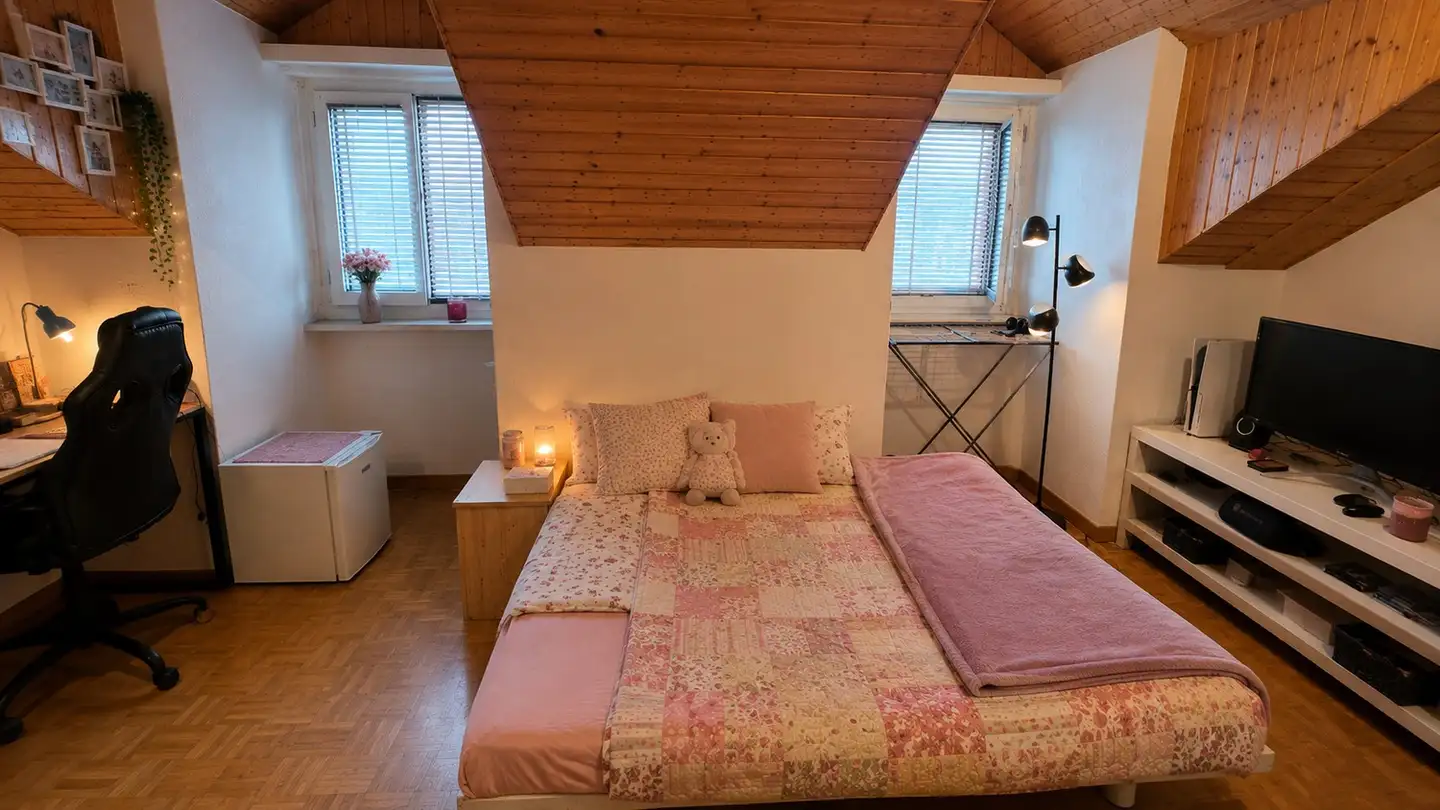 Wohnung mieten - Rue Du Criblet 1, 1700 Fribourg