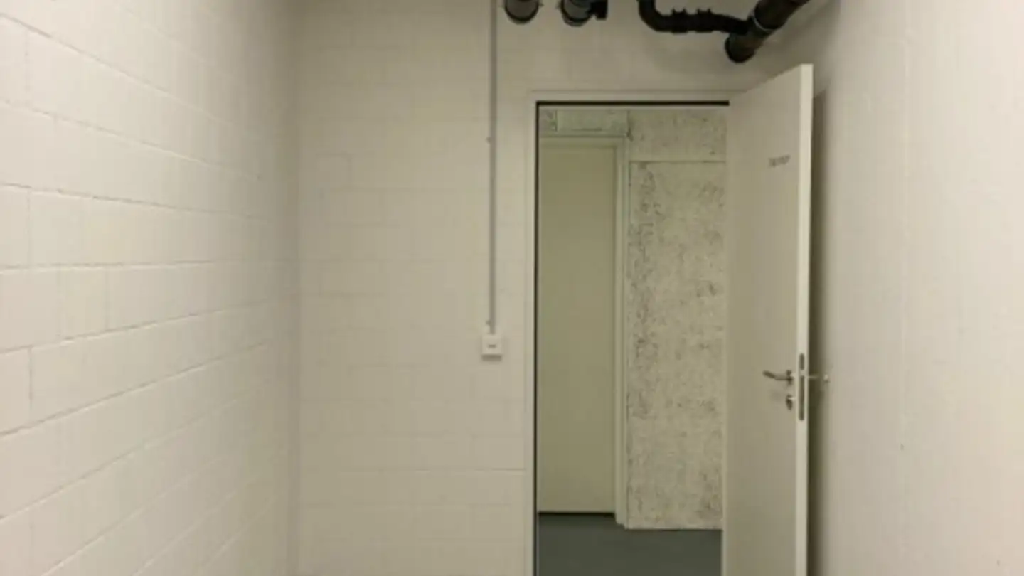 Negozio in affitto - Schlössliweg 24, 5425 Schneisingen - Foto 2