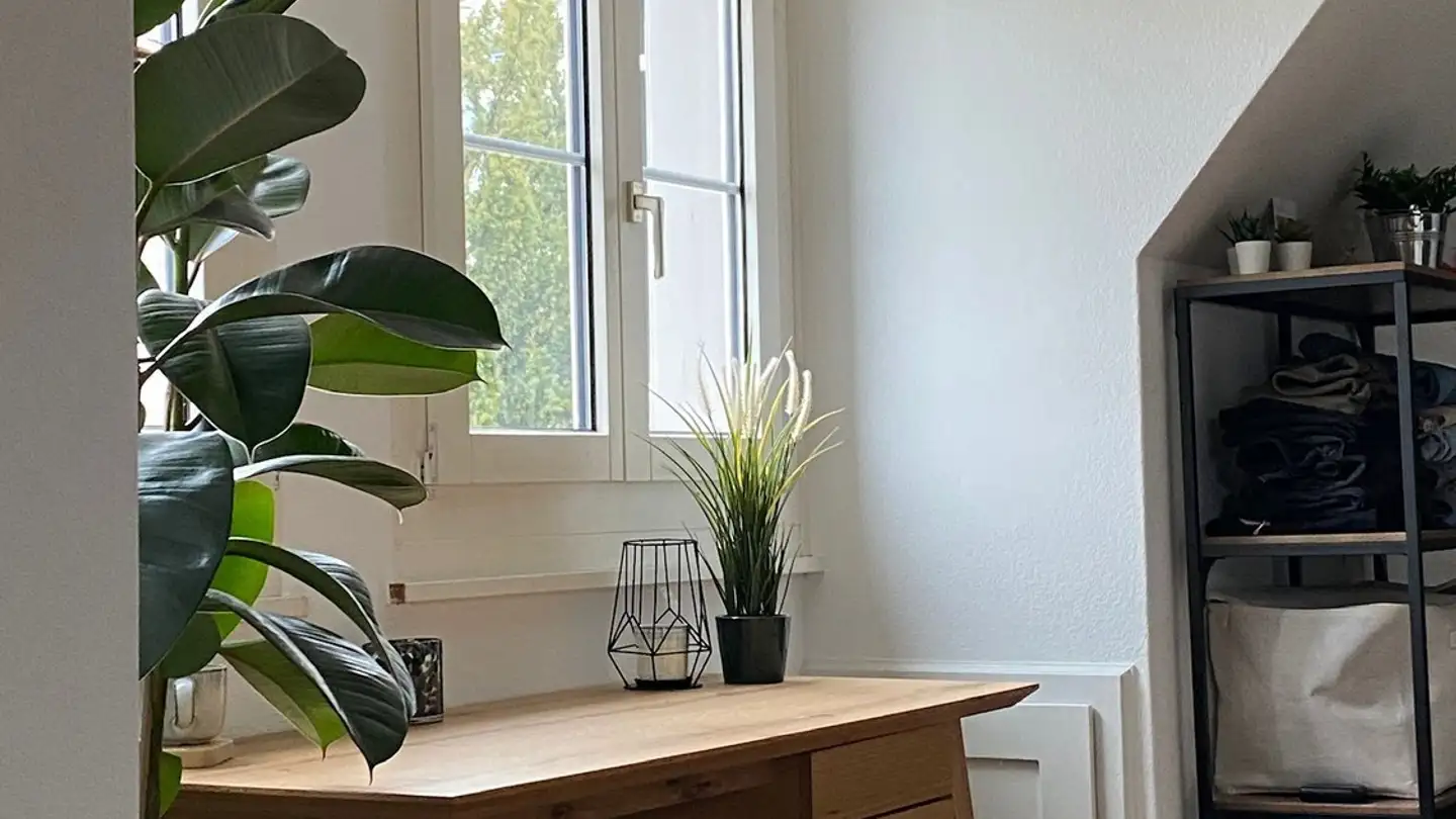 Single room for rent - Rychenbergstrasse 172, 8400 Winterthur - Photo 2