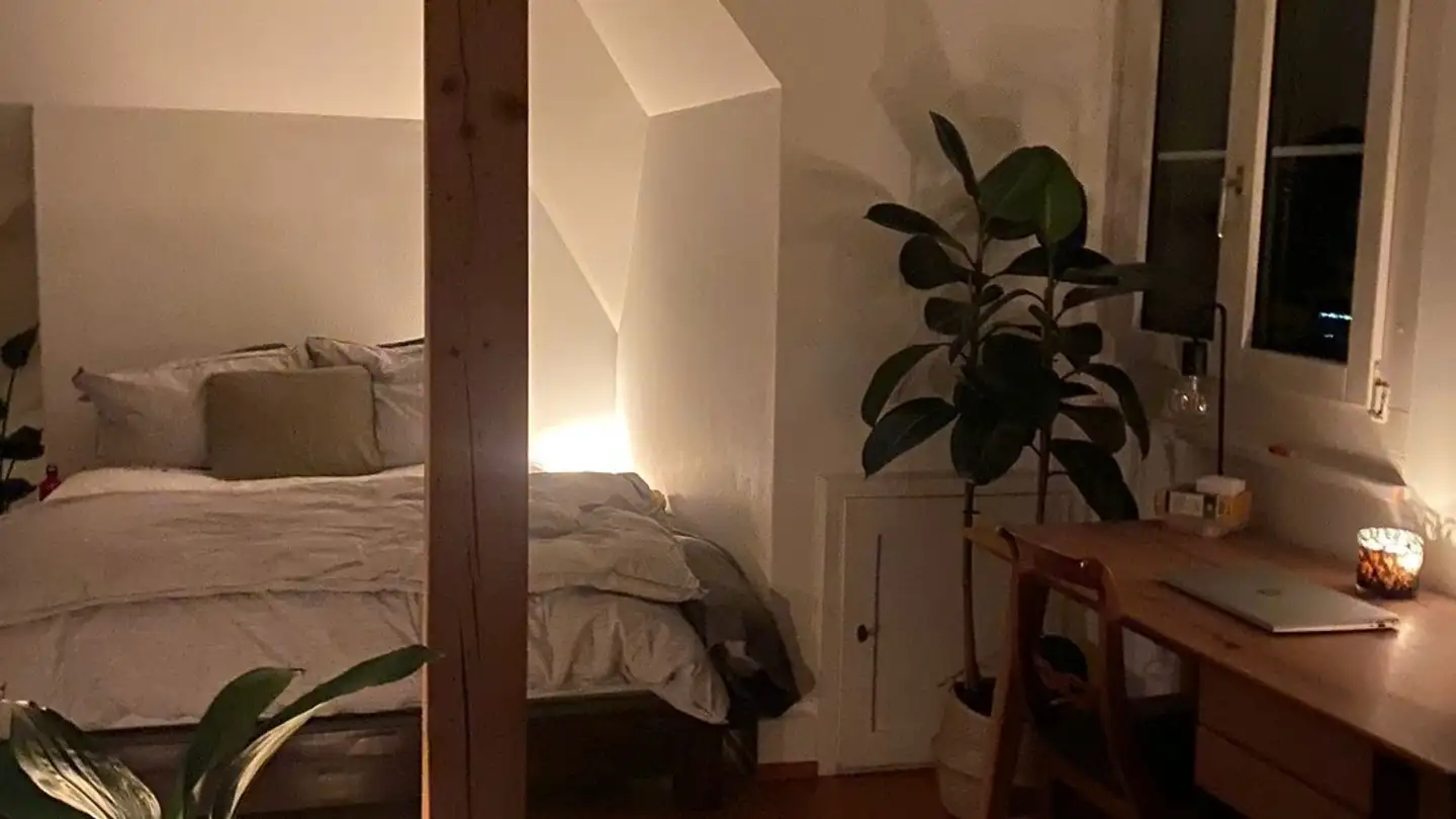 Single room for rent - Rychenbergstrasse 172, 8400 Winterthur - Photo 3