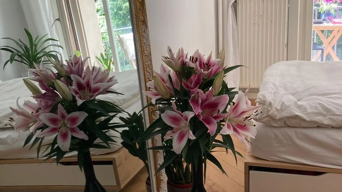 Stanza singola in affitto - Waffenplatzstrasse 21, 8002 Zürich - Foto 2